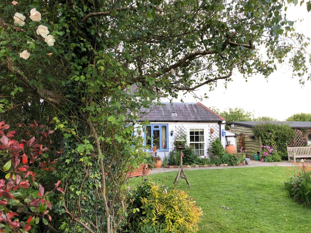 Cosy Cottage Ground Floor Bedroom Ensuite With Private Entrance Chichester Esterno foto